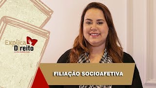 Explica Direito Filiação Socioafetiva  2019 [upl. by Inhoj332]