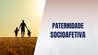 Paternidade socioafetiva [upl. by Ateekan]