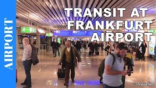 TRANSIT WALK AT FRANKFURT Airport FRA Terminal 1  Connection Flight Transfer Arriving amp Departing [upl. by Gladdie]