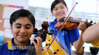 Birkdale State School [upl. by Armahs]